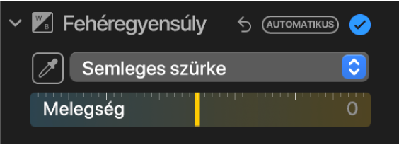 Fehéregyensúly-vezérlők a Beállítás panelen.