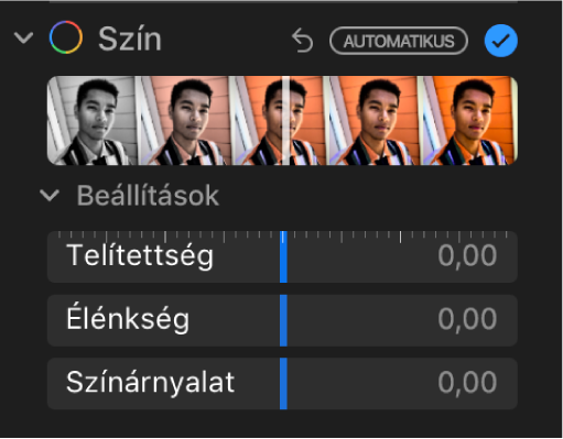 A Beállítás panel Szín területe a Telítettség, az Élénkség és a Színárnyalat csúszkákkal.
