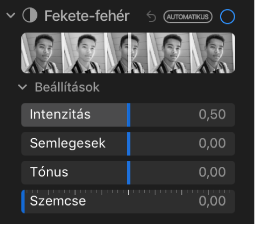 A Beállítás panel Fekete-fehér terület az Intenzitás, a Semleges területek, a Tónus és a Szemcse csúszkákkal.