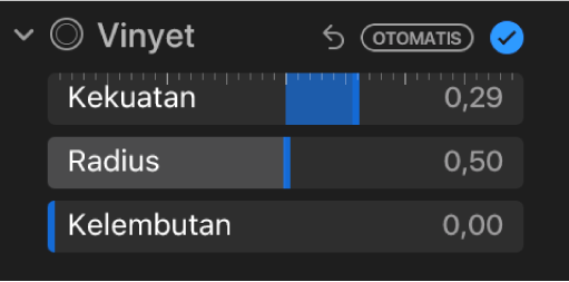 Kontrol Vinyet di panel Sesuaikan, menampilkan penggeser Kekuatan, Radius, dan Perhalus.