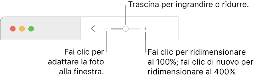 La barra strumenti con i controlli di zoom.