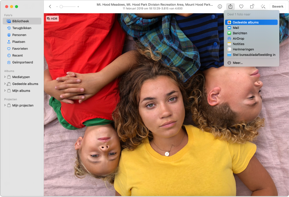 Het Foto's-venster met een foto en het Deel-menu waarin het commando 'Gedeelde albums' is geselecteerd.