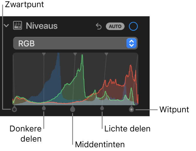 De niveauregelaars in het paneel 'Pas aan', met het RGB-histogram en daaronder grepen met (van links naar rechts) zwartpunt, donkere delen, middentinten, lichte delen en witpunt.