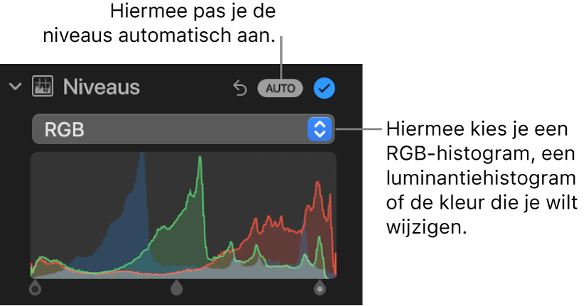 De niveauregelaars in het paneel 'Pas aan', met rechtsbovenin de knop 'Auto' en daaronder het RGB-histogram.