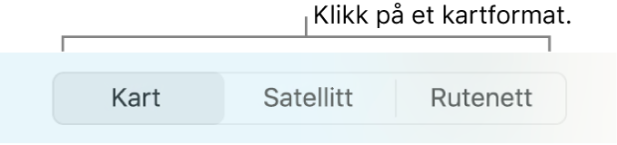 Kart-, Satellitt- og Rutenett-knapper.