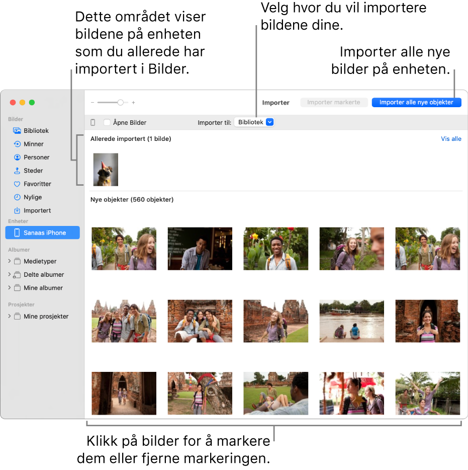 Bilder på enheten som du allerede har importert vises øverst i panelet. Nye bilder er nederst. Øverst i midten er «Importer til»-lokalmenyen. Importer alle nye objekter-knappen er øverst til høyre.