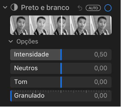 A área “Preto e branco” do painel Ajustar, com os niveladores de Intensidade, Neutros, Tom e Granulado.