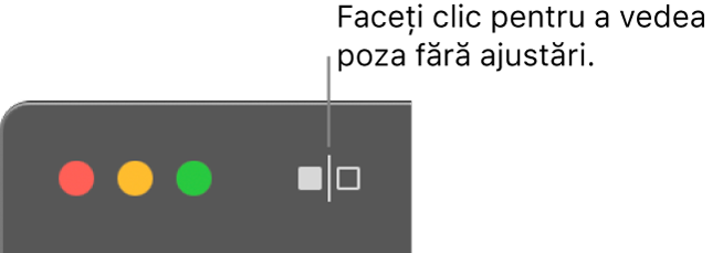 Butonul Fără ajustări, lângă comenzile din colțul din stânga sus al ferestrei.