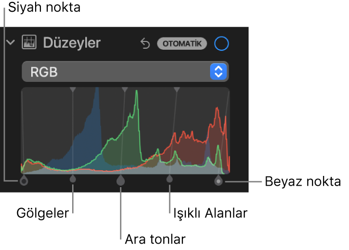 Soldan sağa siyah nokta, gölgeler, ara tonlar, ışıklı alanlar ve beyaz nokta dahil olmak üzere altta tutamaklarla RGB histogramını gösteren Ayarla bölümündeki Düzeyler denetimleri.