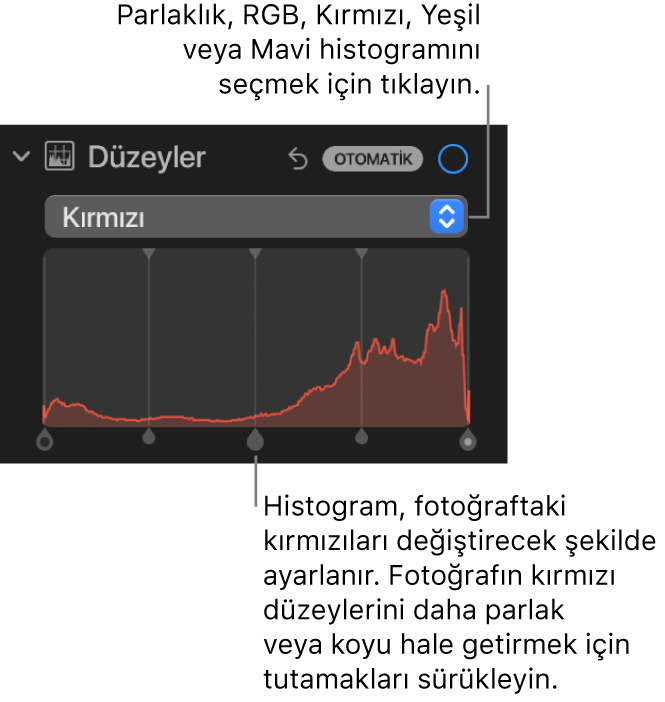 Altta fotoğrafın kırmızı düzeylerini ayarlamaya yönelik tutamaklarla Kırmızı histogramını gösteren Ayarla bölümündeki Düzeyler denetimleri.