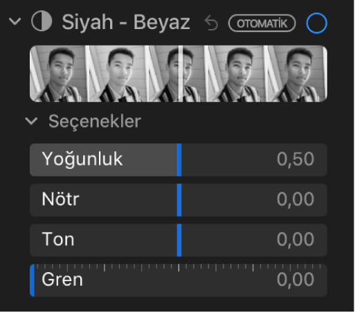 Ayarla bölümünün Yoğunluk, Nötr, Ton ve Gren sürgülerinin gösterildiği Siyah - Beyaz alanı.