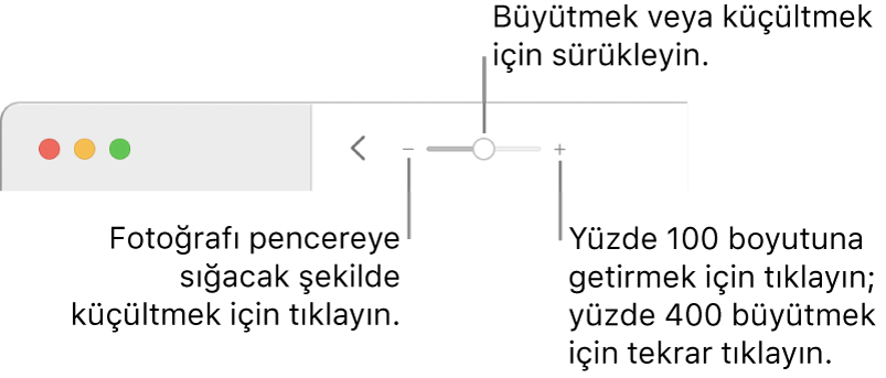 Büyütme denetimlerini gösteren araç çubuğu.