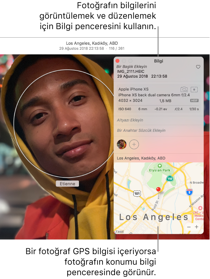 Fotoğrafın bilgi penceresi.