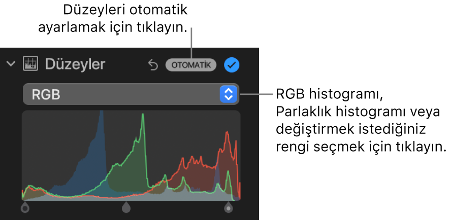 Sağ üstte Otomatik düğmesini ve altta RGB histogramını gösteren Ayarla bölümündeki Düzeyler denetimleri.