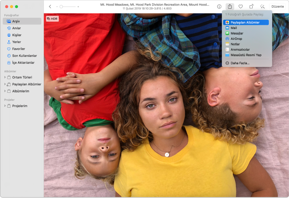 Bir fotoğrafı ve Paylaşılan Albümler komutu seçili olarak Paylaş menüsünü gösteren Fotoğraflar penceresi.