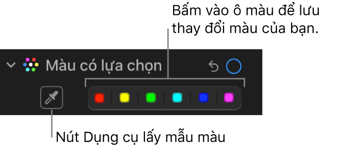 Các điều khiển Màu có lựa chọn trong khung Điều chỉnh, đang hiển thị nút Dụng cụ lấy mẫu màu và ô màu.