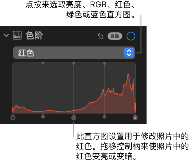 “调整”面板中的“色阶”控制，显示“红色”直方图及下方的控制柄，用于调整照片的红色色阶。