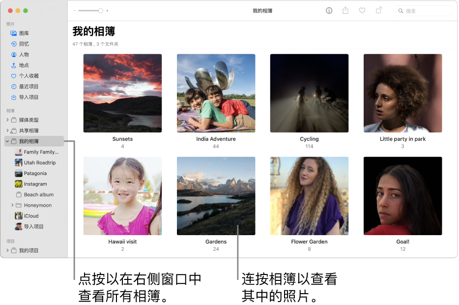 “照片”窗口，在边栏中选择了“我的相簿”，您创建的相簿显示在右侧的窗口中。