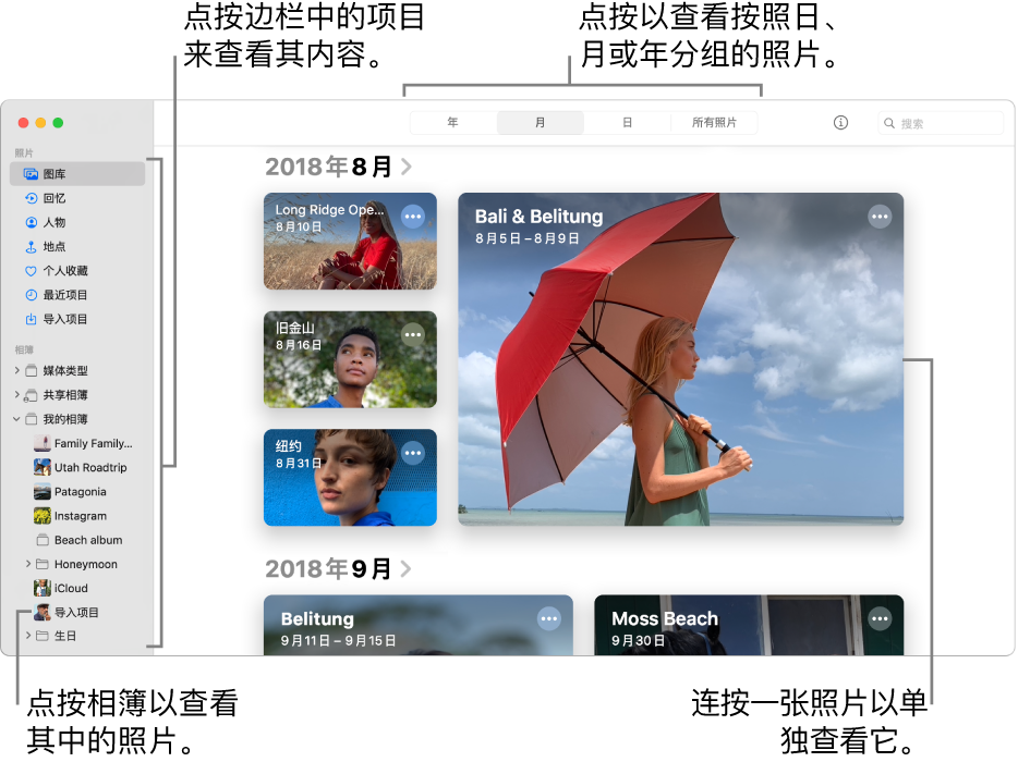 “照片”窗口，显示在工具栏中选择了“月”，窗口主区域中显示的照片按月整理。边栏位于左侧，在其中您可以选择相簿和项目。
