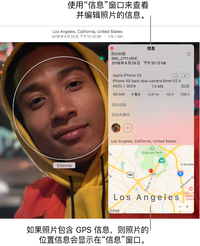 照片的“信息”窗口。