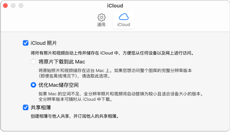 “照片”偏好设置的 iCloud 面板。