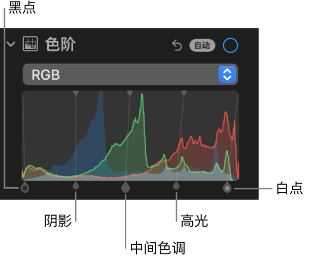 “调整”面板中的“色阶”控制，显示 RGB 直方图及下方的控制柄，包括（从左到右）黑点、阴影、中间色调、高光和白点。