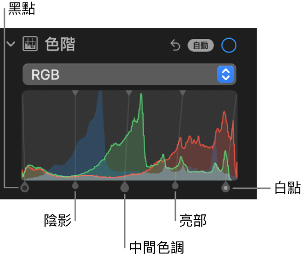 「調整」面板中的色階控制項目，顯示 RGB 色階分佈圖，其下方的控點由左至右包括黑點、陰影、中間色調、亮部和白點。