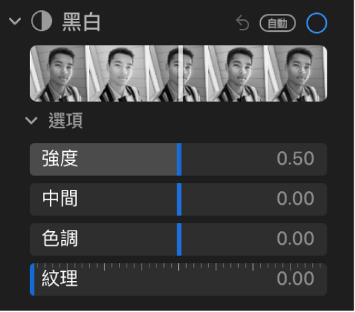 「調整」面板的「黑白」區域會顯示「強度」、「中間」、「色調」和「紋理」的滑桿。