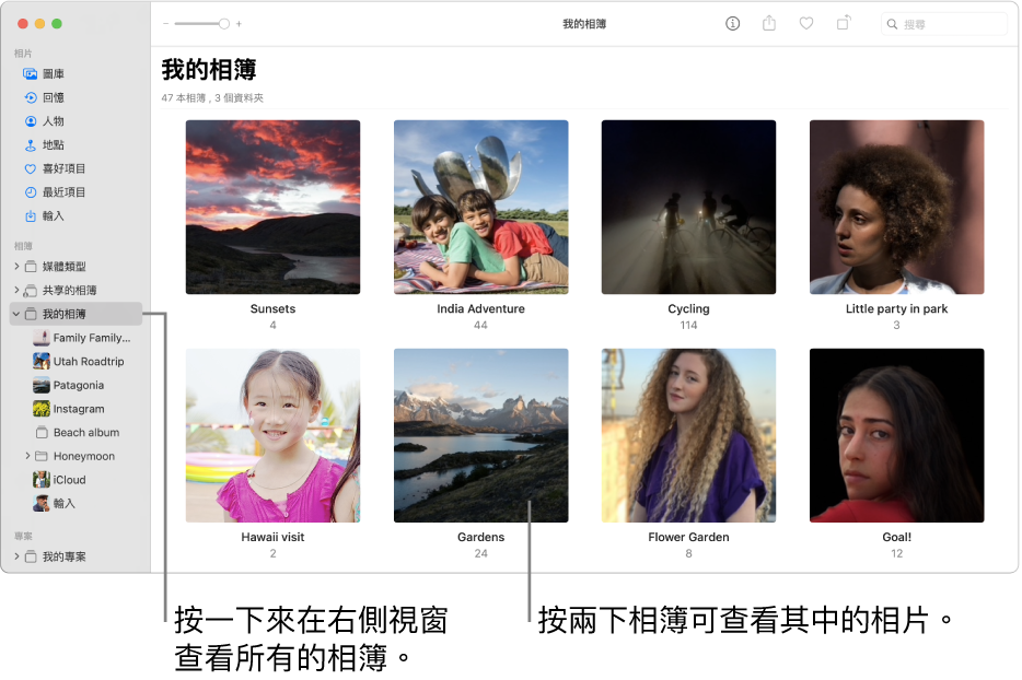 「相片」視窗的側邊欄中選取了「我的相簿」，你已製作的相簿會顯示在右側的視窗中。