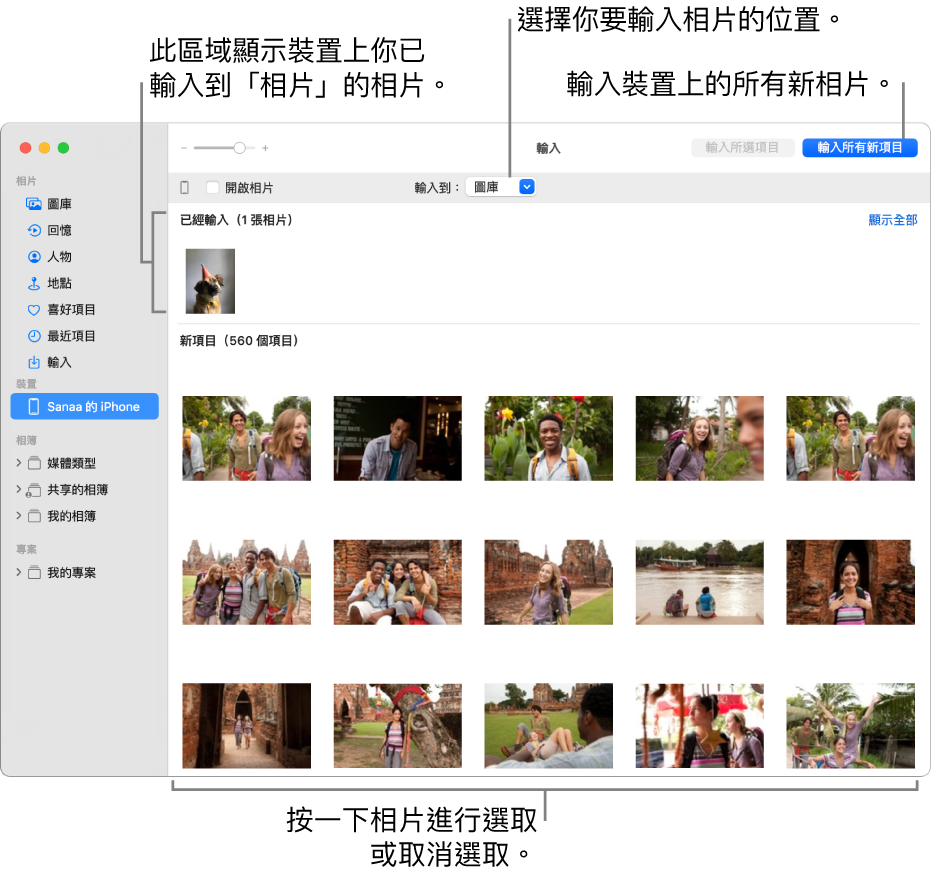 你已從裝置輸入的相片會顯示在面板最上方；新相片位於底部。最上方中間是「輸入到」彈出式選單。「輸入所有新項目」按鈕位於右上角。
