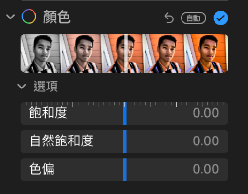 「調整」面板的「顏色」區域顯示「飽和度」、「自然飽和度」和「色偏」的滑桿。