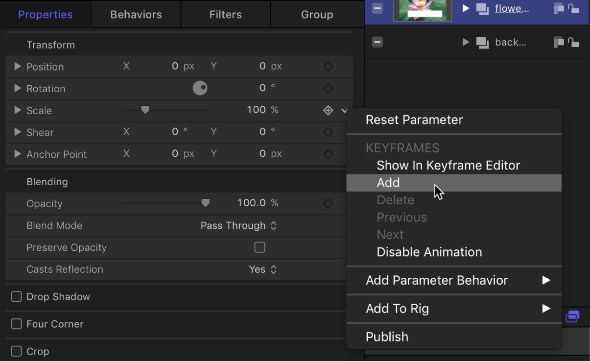 Animation menu in Inspector