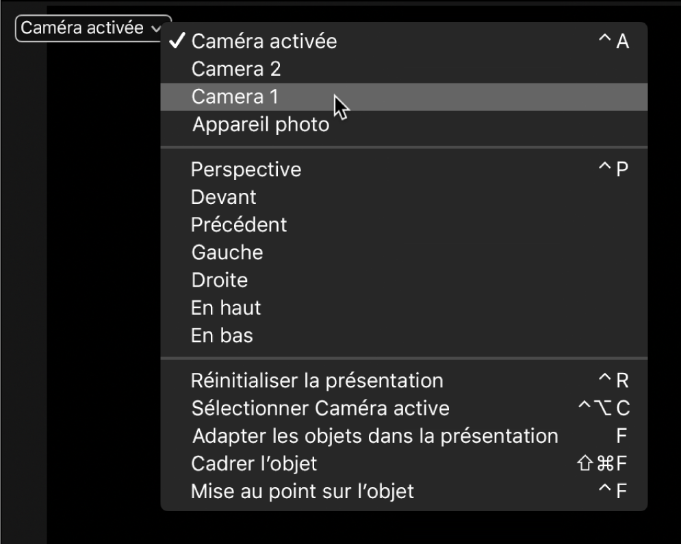 Sélection d’une autre caméra de scène dans le menu local Caméra du canevas