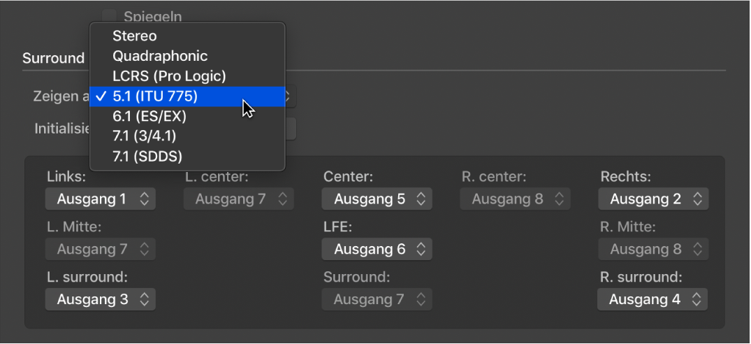 Abbildung. Surround-Einstellungen