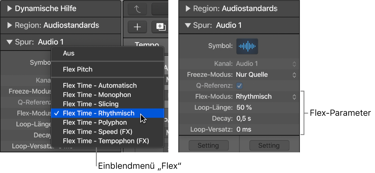 Abbildung. Informationsfenster „Spur“ mit Flex-Algorithmen und Parametern