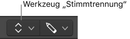 Abbildung. Werkzeug „Stimmtrennung“