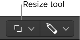 Figure. Resize tool.