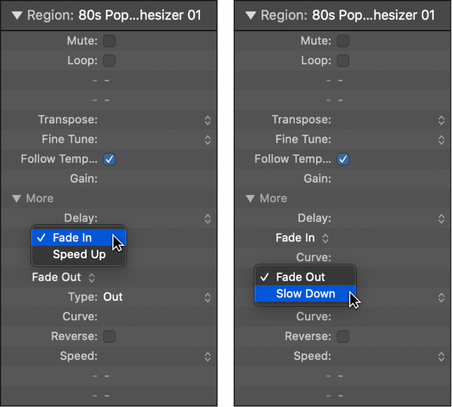 Figure. Speed Up and Slow Down parameters in the Region inspector.