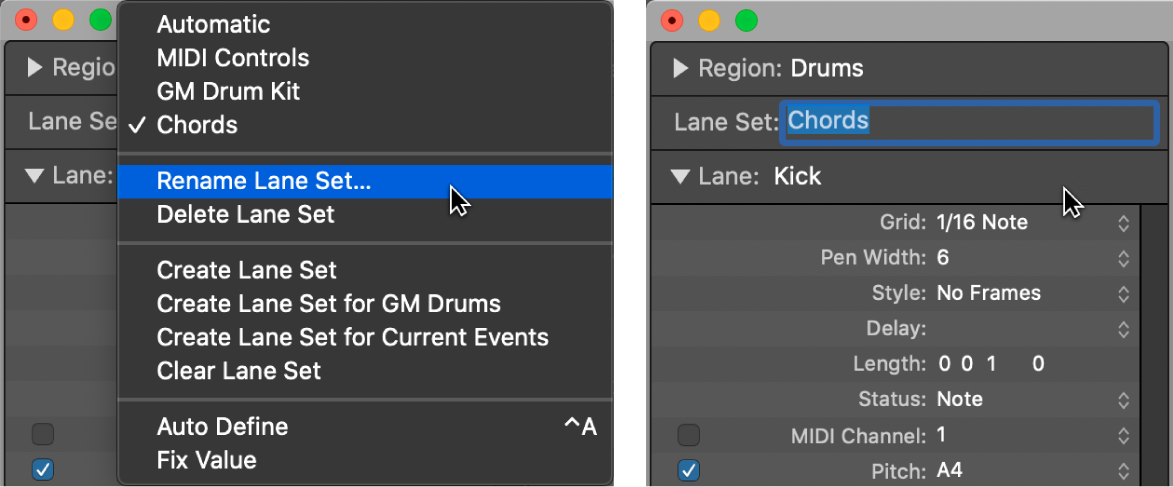 Figure. Entering a Lane Set name in the Inspector.