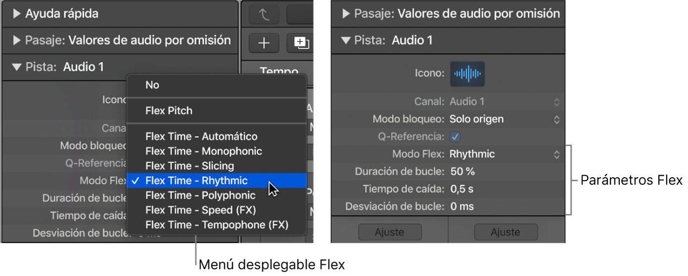 Ilustración. Inspector de pistas con algoritmos y parámetros Flex.