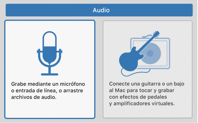 Ilustración. Se está seleccionando un icono de audio en el cuadro de diálogo “Nuevas pistas”.