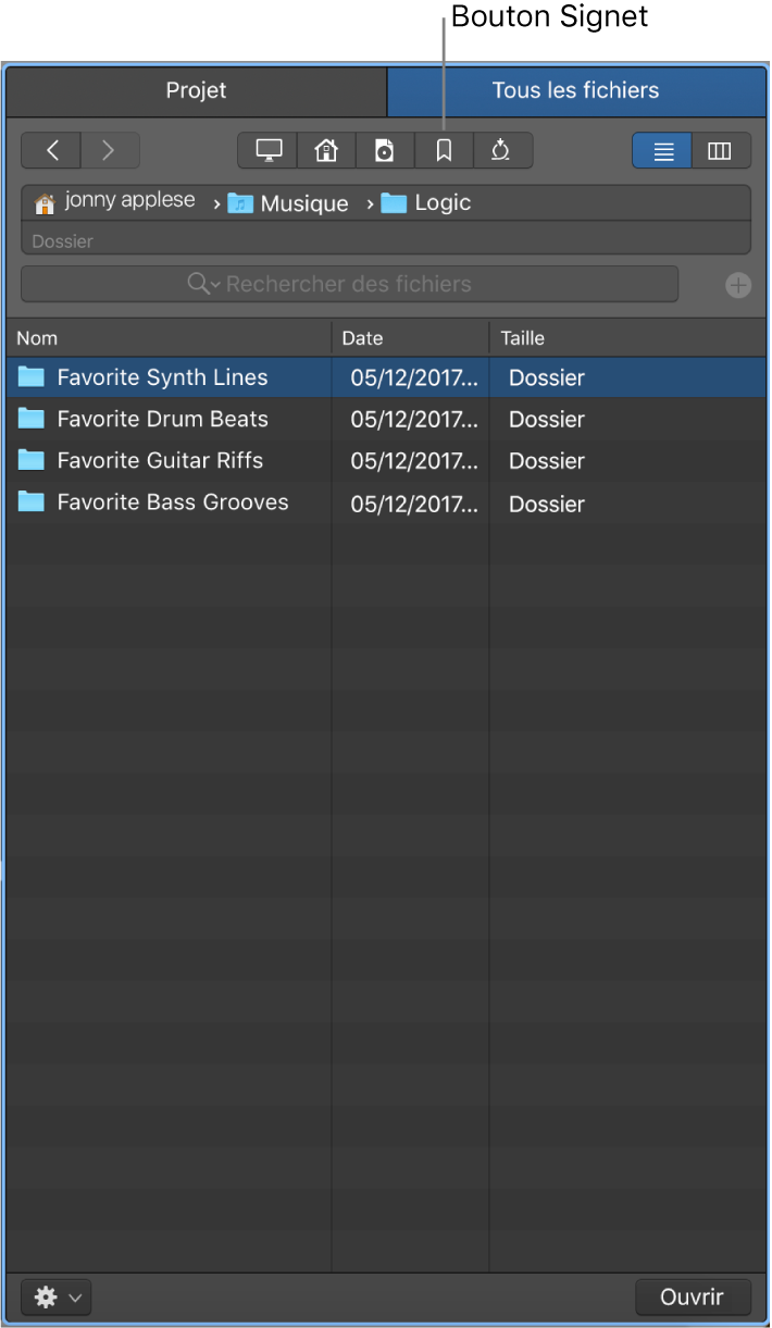 Figure. Navigateur Tous les fichiers montrant le bouton Signet.