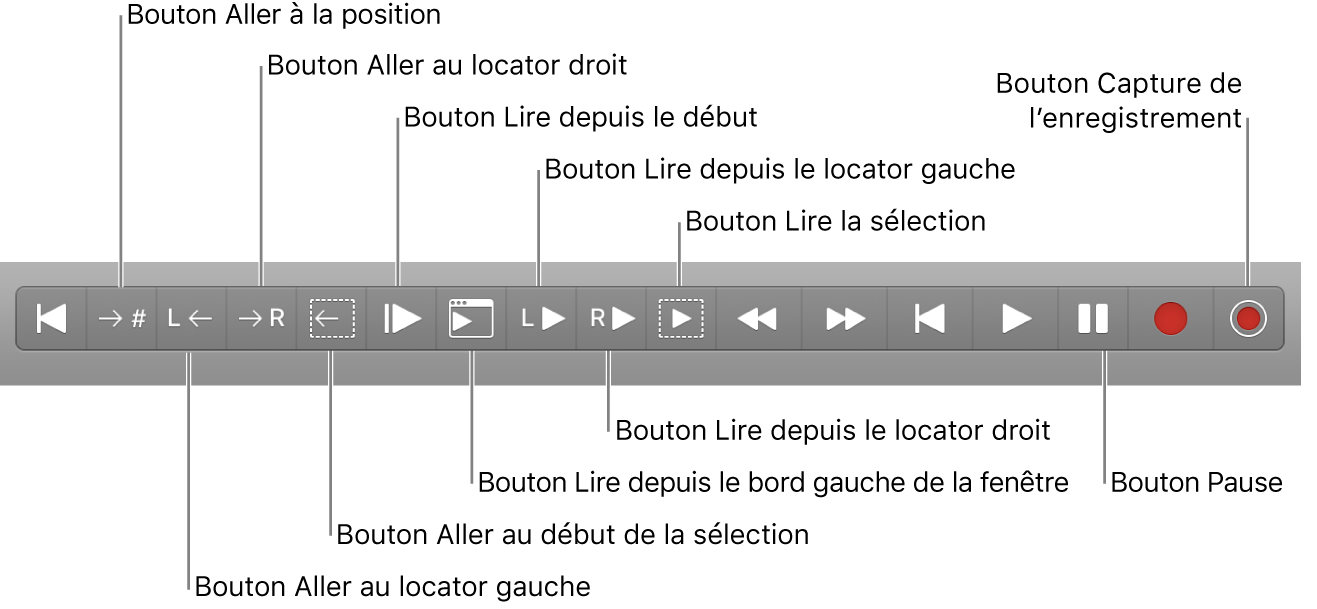 Figure. Boutons de transport, avec tous les boutons supplémentaires.