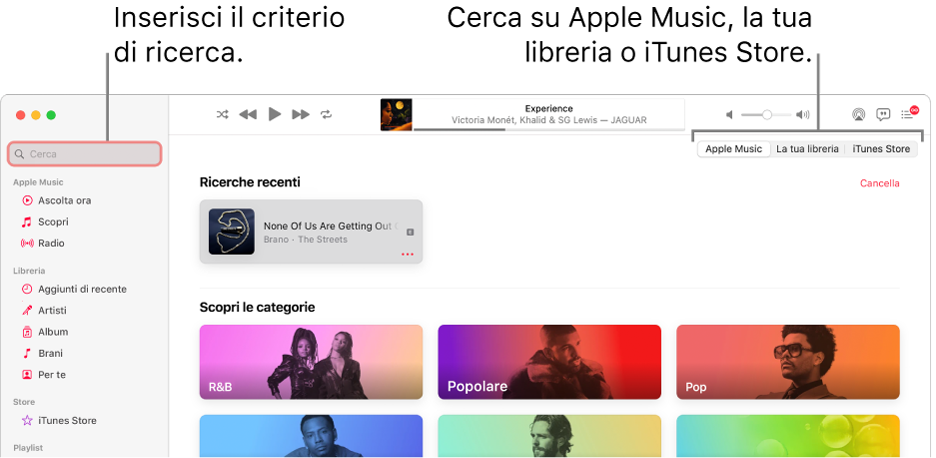 La finestra di Apple Music che mostra il campo di ricerca nell'angolo in alto a sinistra, l'elenco delle categorie al centro della finestra e Apple Music, “La tua libreria” o iTunes Store nell'angolo in alto a destra. Inserisci i criteri di ricerca nel campo, quindi scegli se cercare su tutto Apple Music, solo nella libreria o su iTunes Store.