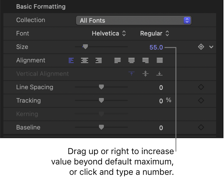 Size value field for Text Size parameter