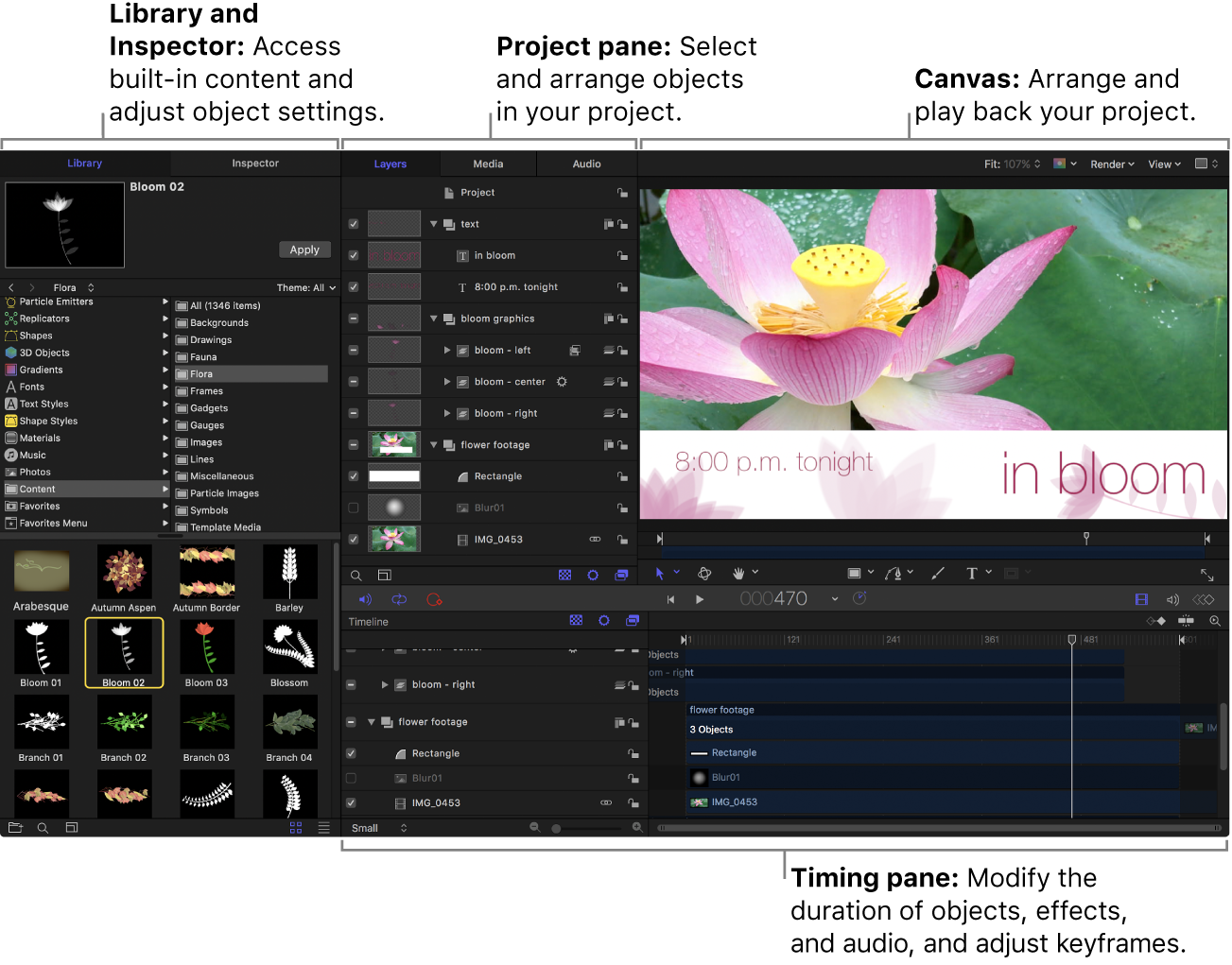 Motion window showing the Library, Project pane, canvas, Timing pane, and toolbar