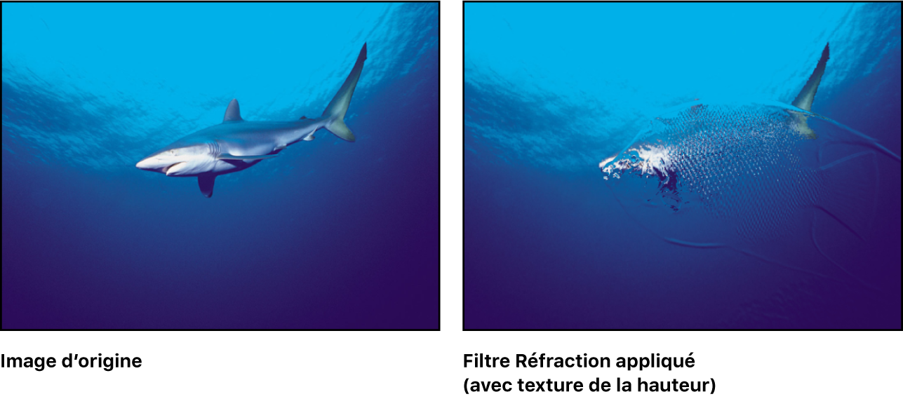 Canevas affichant l’effet du filtre Réfraction