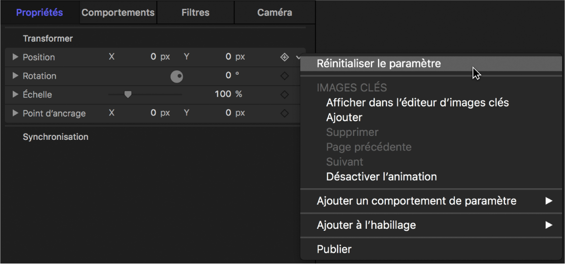 Option Réinitialiser le paramètre du menu Animation