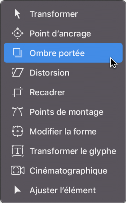 Sélection de l’outil Ombre portée dans le menu local des outils de transformation