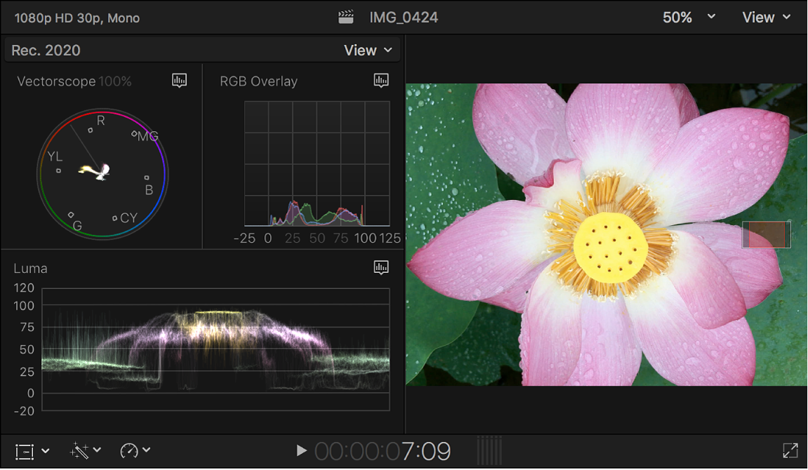 The vectorscope, histogram, waveform monitor, and viewer